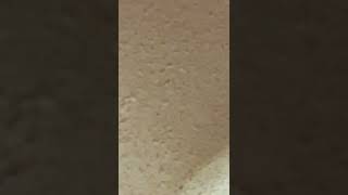 29 De Janeiro De 2022