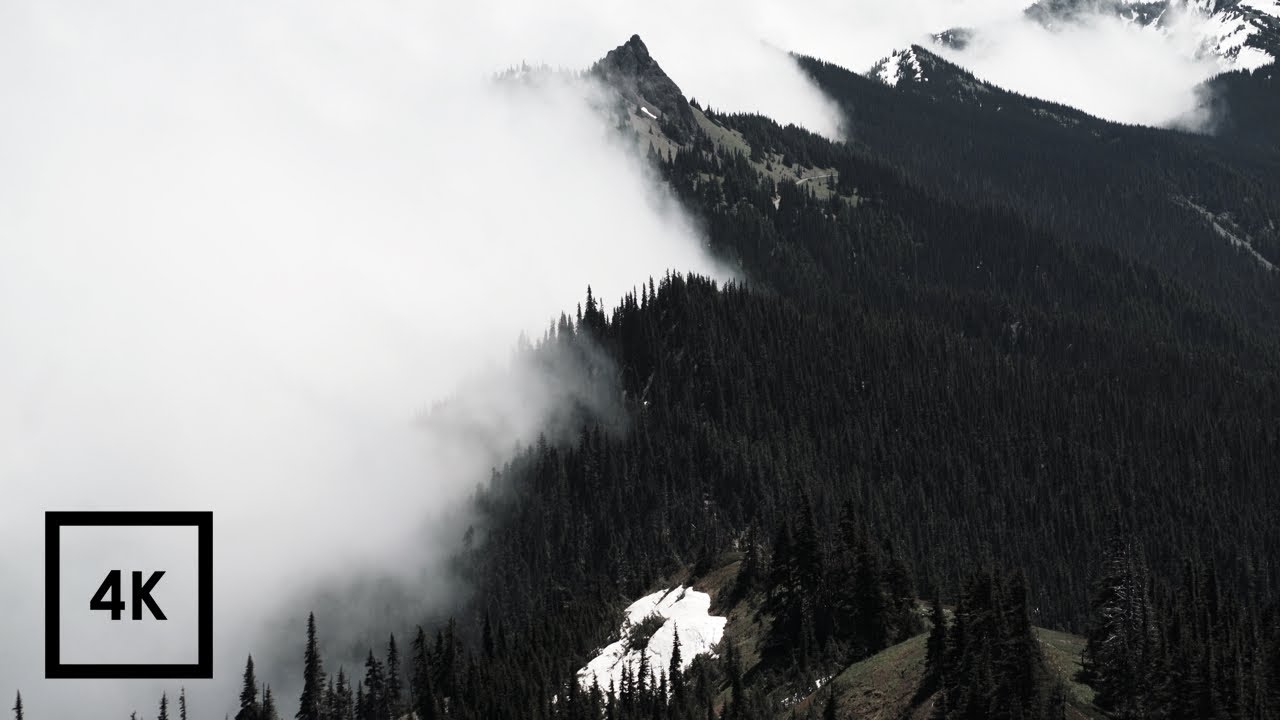 Quiet Mountain Soundscape Ambience at Hurricane Ridge, Washington's Olympic National Park | 4k