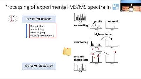 MQSS 2022 | MaxQuant Basics I | Pelagia Kyriakidou