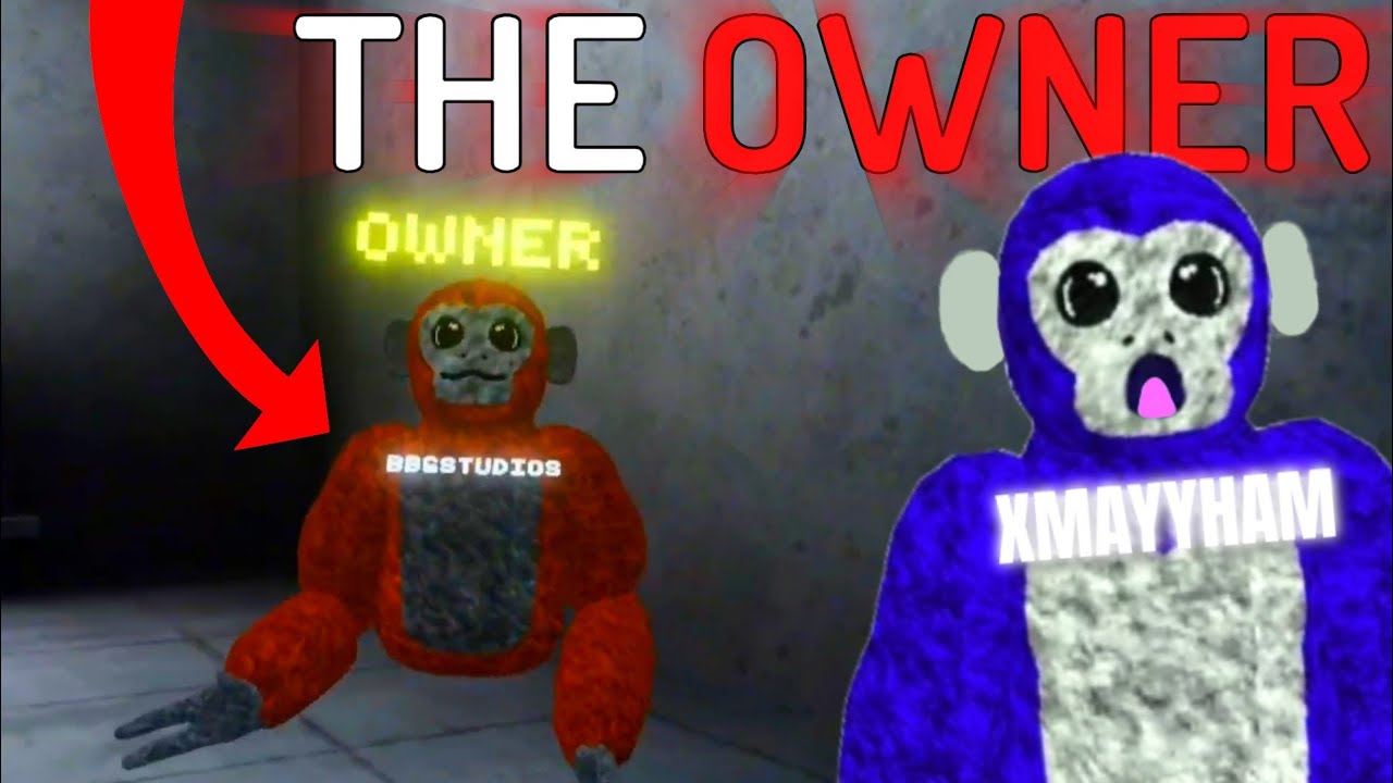 I Played Scary Baboon With The OWNER!!