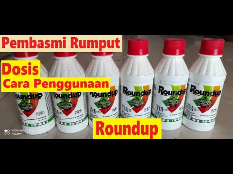 Video: Selzink Plus - Petunjuk Penggunaan, Indikasi, Dosis, Ulasan