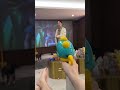 #Toys #Funny #Pranks #Couples #DailySharing #MarriedLife #Girlfriend #Love #Sweet