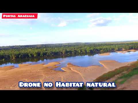 Drone em Habitat natural