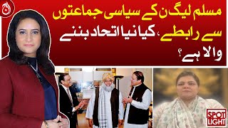 Contact with political parties of PML-N, is a new alliance going to be formed?| Aaj News