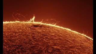 Solar Surge Prominences & Active Coronal Arches — H-Alpha Time-Lapse | July 6, 2026
