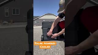 Solar powered cooler