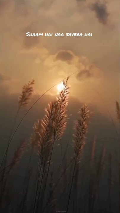 Tere Bina Marz Aadha Adhura Hai 💔🥺 |heart touching whatsapp status| |arijit singh|