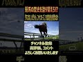 ダマスカス、ハビタット、ファインローズ、天皇賞(秋)制覇なるか⁉【1970－9の切り抜き動画】１９７０年、ダマスカス、ハビタット、ファインローズ出走‼#ウイニングポスト102026 #競馬