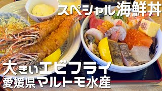 【愛媛県 マルトモ水産】西条市で海鮮食べるなら絶対ココ!特大エビフライ!海鮮丼!イチオシお魚ランチが凄かった!