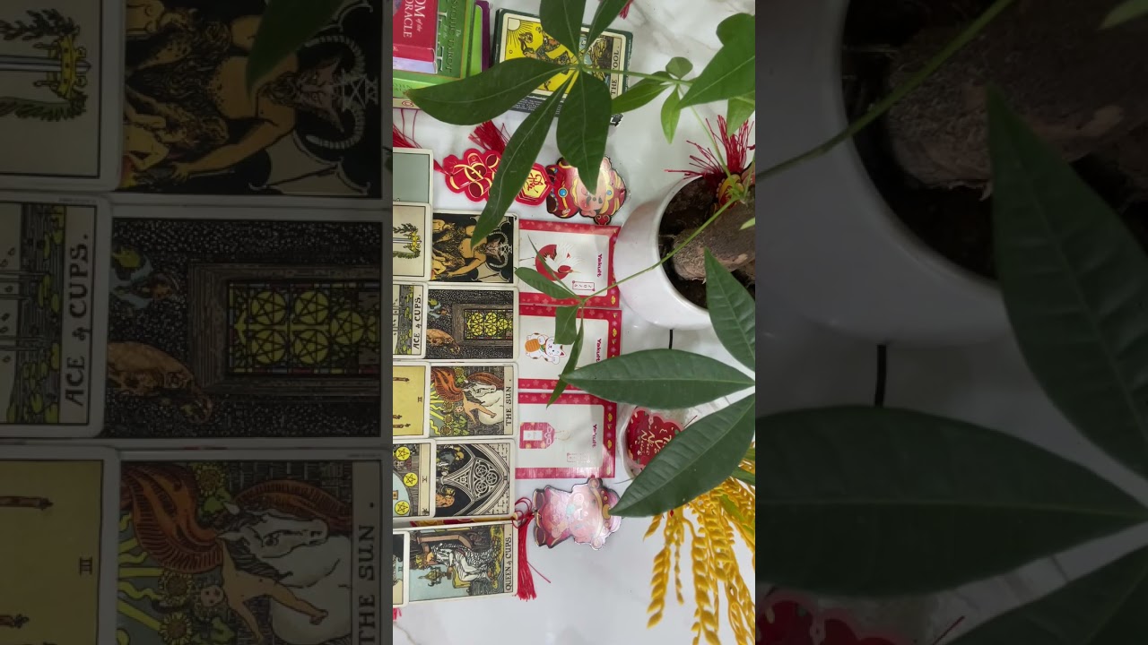 Họ còn dành tình cảm cho bạn không?