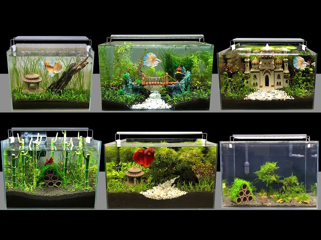 Top 8 DIY Mini Aquarium Decoration Ideas How To Make Aquascape