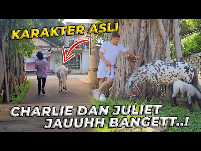 ABIS AJAK JALAN2 CHARLIE LANGSUNG KE JULIET RASANYA BEDA BANGETT..!! class=