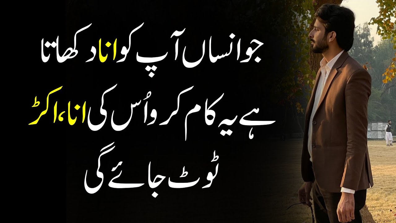 How to deal with someone who show you attitude? Relationship tips 