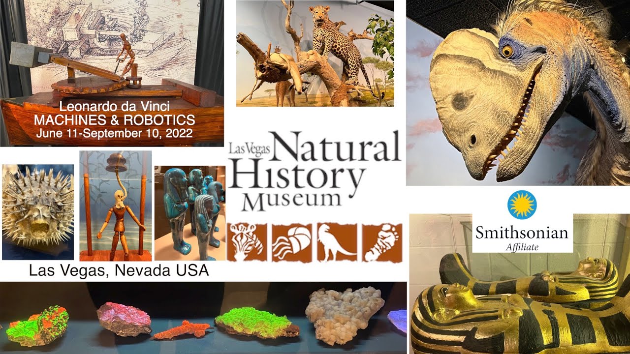 Tour of Las Vegas Natural History Museum YouTube