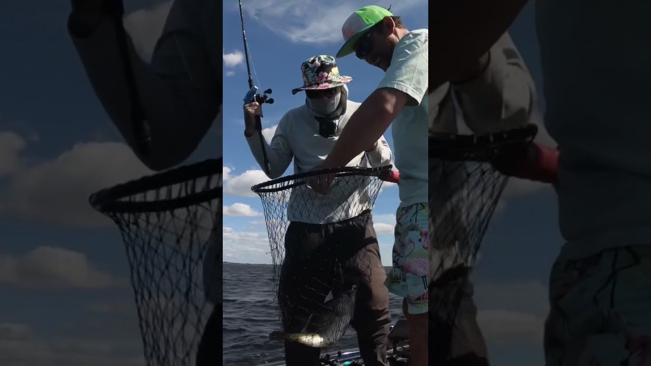 TOLD YOU SO 😱 Epic Topwater Bite in Big WAVES 🌊 | 