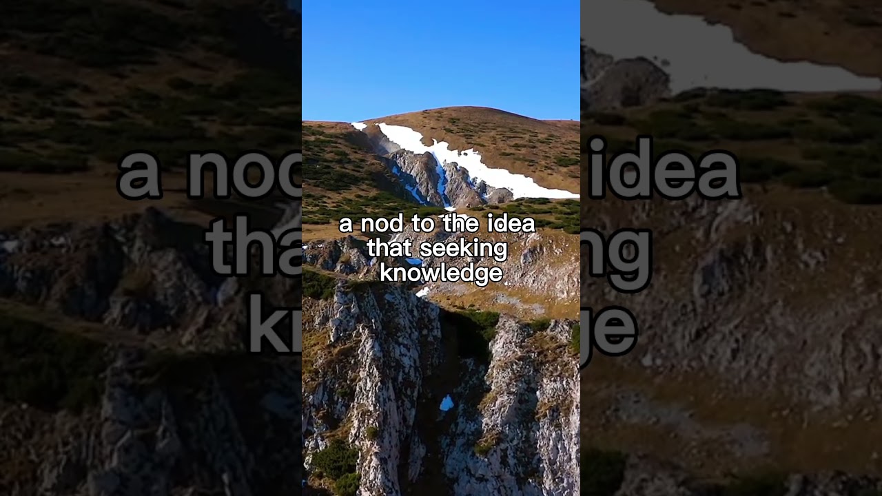 Questioning Character: Voltaire's Insight on Seeking Understanding