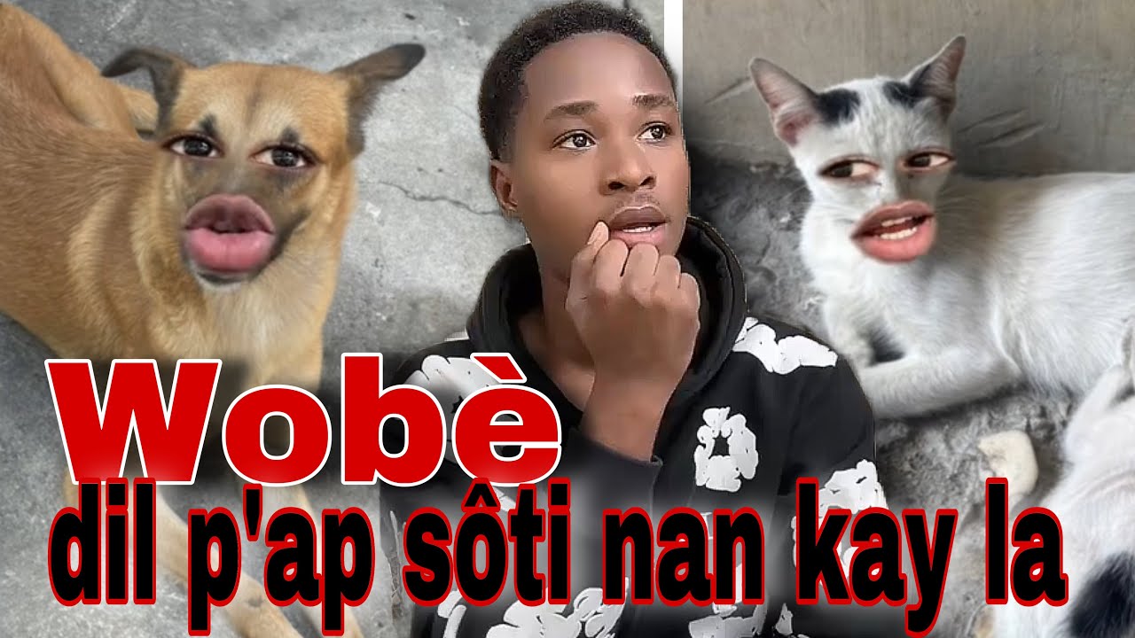 Робэ говорит, что не выйдет из дома, Экспи собирается пригласить его на свидание😜🤩 #bawofficiel #...