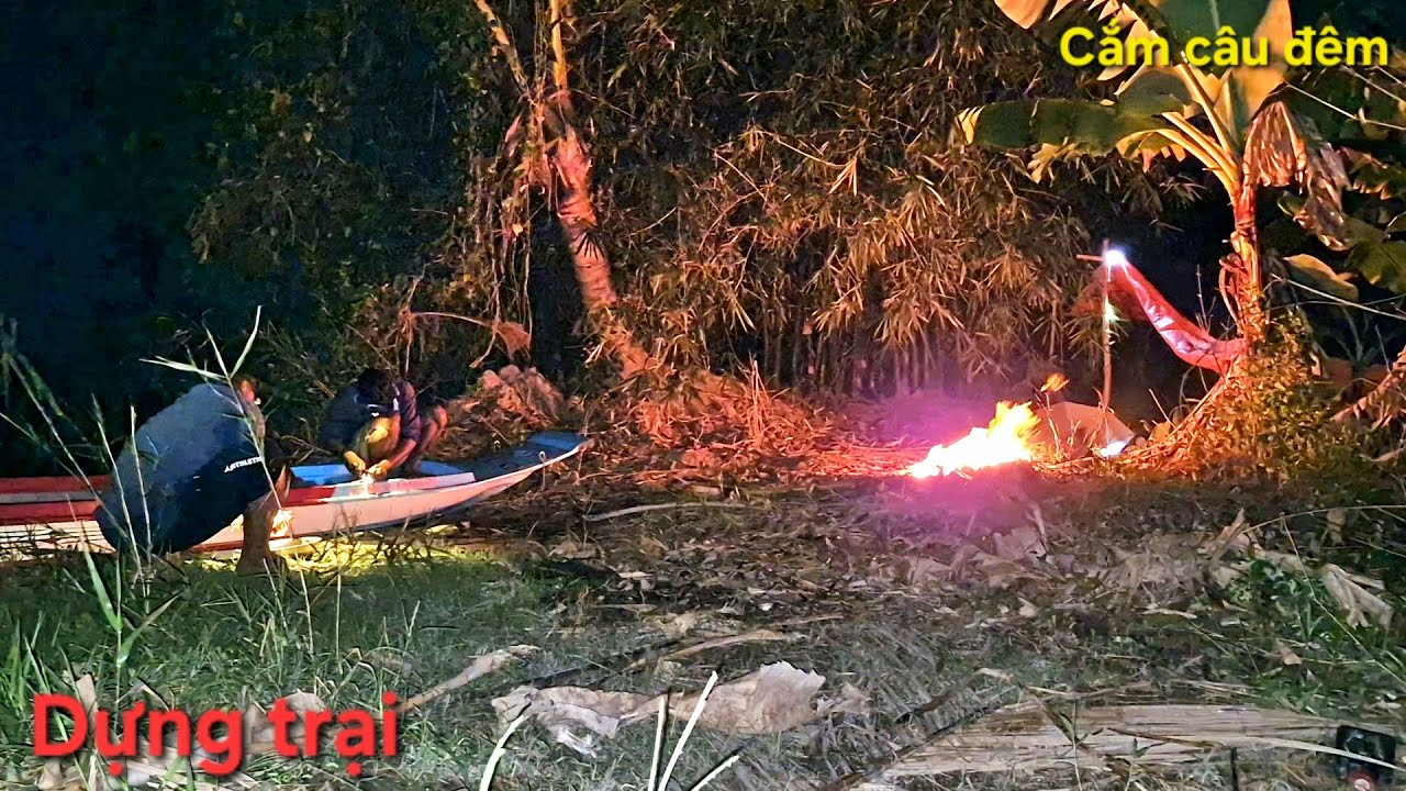 Dựng trại cắm câu ven kênh xáng || Cá tra sông nấu trái giác thơm ngon béo ngậy