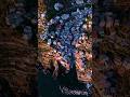 Cinque Terre: 5 Villages, 1 Unforgettable Adventure#europe#italy#travel#shorts