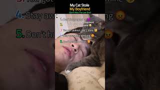 My Cat Stole My Man 😭#stolen #man #catshorts