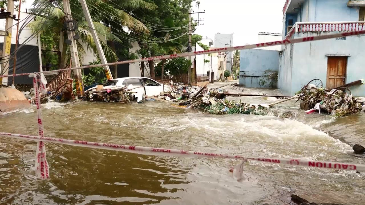 Some birds may temporarily benefit from climate change, researchers say