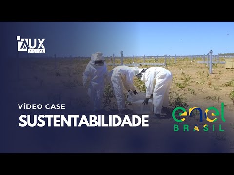CETAS Piauí - Um Case de Sucesso em Sustentabilidade