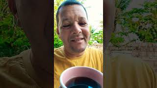 Bom Dia Com Cv Garagem 30072024