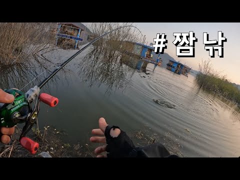 배스낚시//충북배스//짬낚// <strong>bass</strong> <strong>fishing</strong>