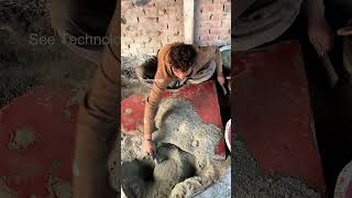 How Stylish Cement Project Are Made? #Youtubeshort #Cementprojects (#Shorts)
