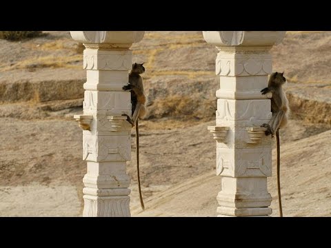 The Wildlife at Leopard Rocks is as Impressive as the Terrain