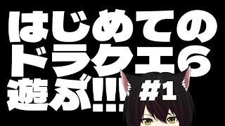 【ドラクエ6/スーファミ版】【1回目】初見で雑談しながらのんびりやっていく!!!【DQ6/ドラゴンクエストⅥ】