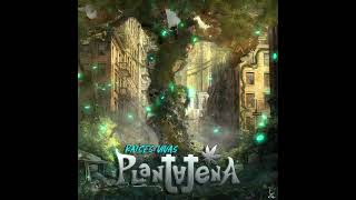 Plantajena Creer O Reventar