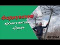 Формування крони в формі &quot;Дах&quot;. UA та RUS субтитри.