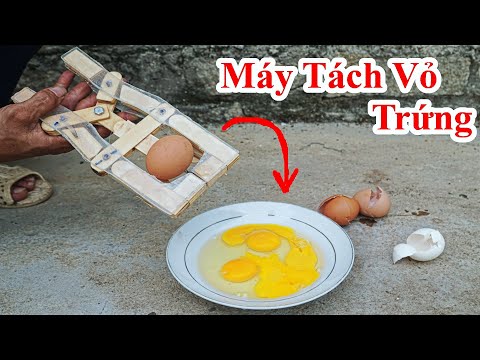 Video: Làm Thế Nào để đặt Một Con Gà Trên Trứng