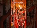 🌺 ஸ்ரீ வெங்கடேசாய நமஃ 🌺 #tirumala #tirupatibalaji #govinda #balaji #venkateswara #shorts #ytshorts