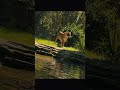 2026 Jacksonville Zoo #Jacksonvillezoo
