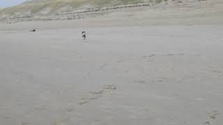 VID 20170101 WA0051