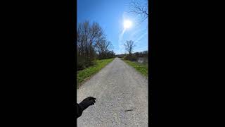 Raccoon River Walk