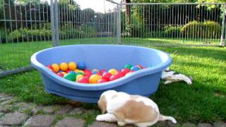 DSCF6328.AVI