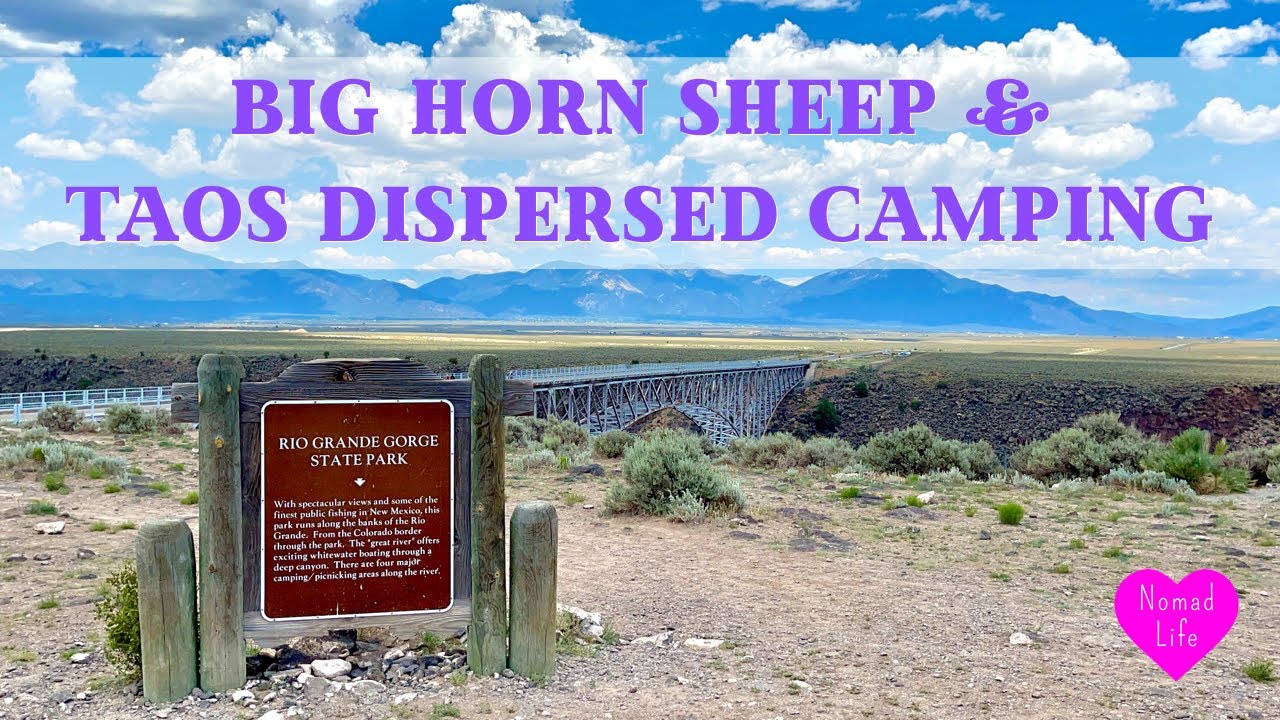 I Found My Thrill On Blueberry Hill Big Horn Sheep Rio Grande Gorge Dispersed Camping In Nm Youtube