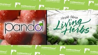 AndNowUKnow - Pandol and North Shore - Quick Dish