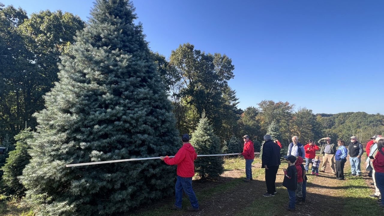White House Christmas tree picked from Schuylkill County farm with deep