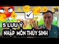 5 Lưu ý cho người mới tập chơi thủy sinh #Greenhappiness