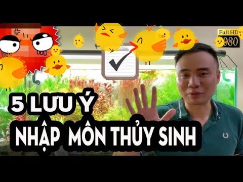 Video: 5 Cây Thủy Sinh Sống Mà Ngay Cả Người Mới Bắt đầu Cũng Có Thể Chăm Sóc