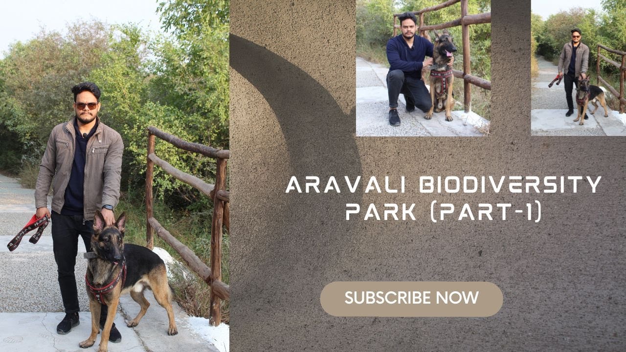 Pet Friendly Park Aravali Biodiversity Park (Gurgaon) Free of cost 