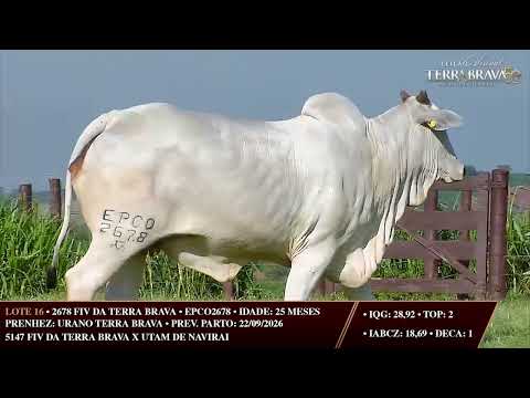 LOTE 16   EPCO 2678