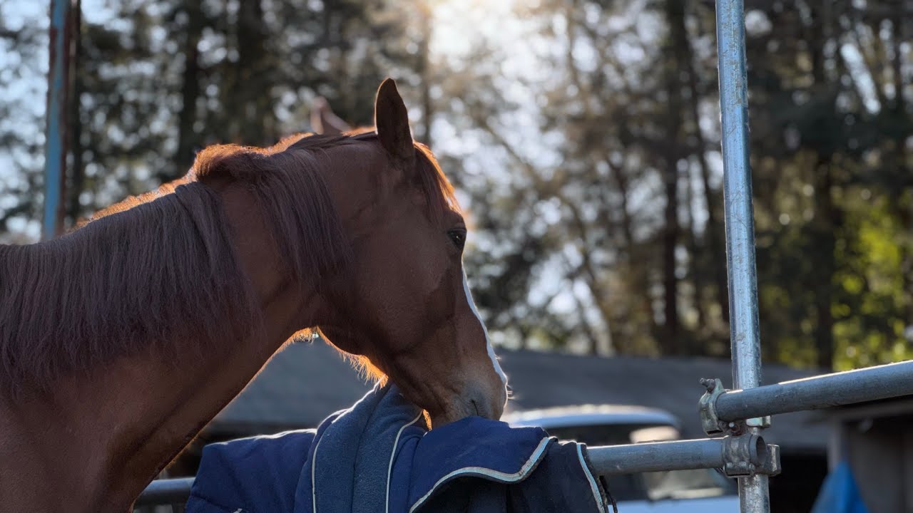 膝と股関節と足首の違いをわかっていない人