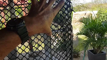 Como fazer um tanque rede para criação de tilápia?
