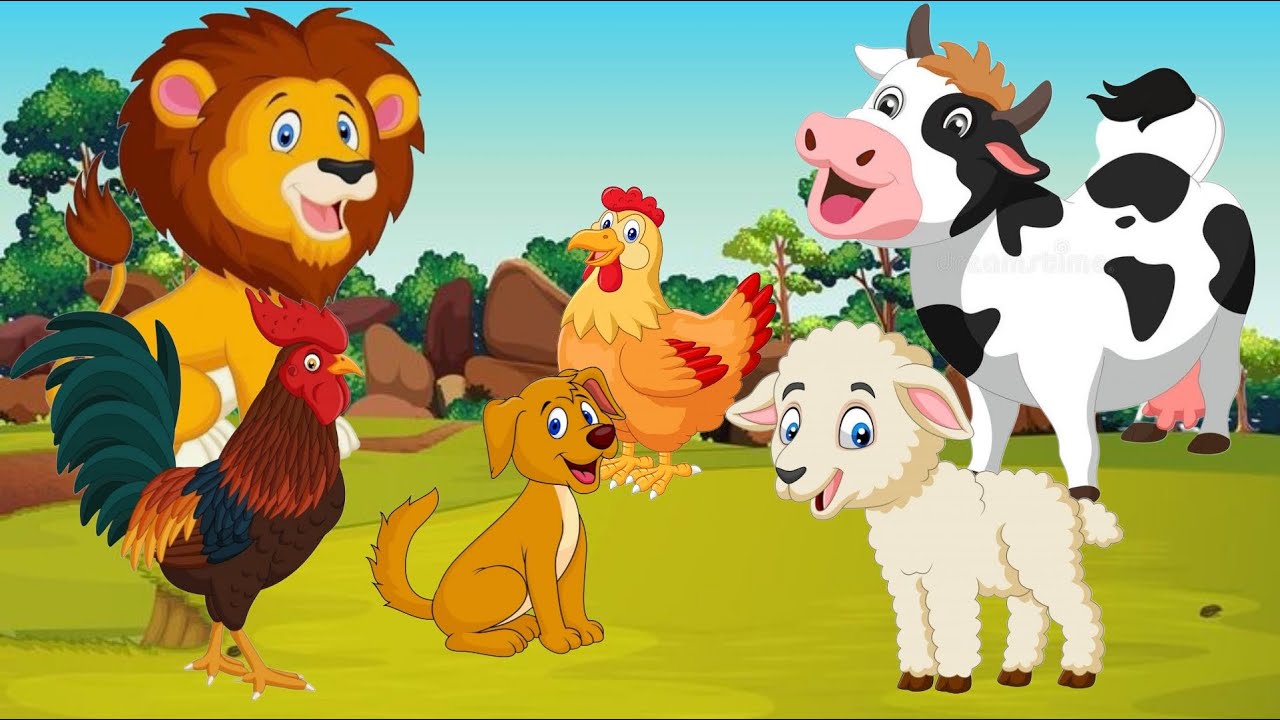 Wild Animal Sounds Raccoon, Rabbit, Mouse, Bee - Animal Moments - YouTube