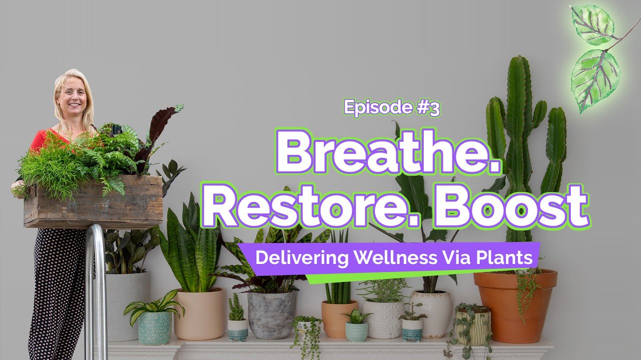 EP. 03 | Meet Katie Cooper & John Gilbert, Founder of Bloombox Club
